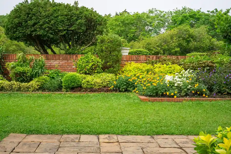 Reliable Landscape Designer in Oakland, CA