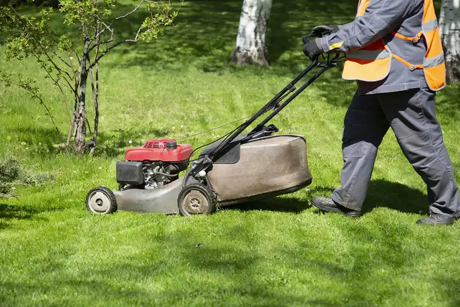 Reliable Lawn Mowing Service Lawn Mowing Service