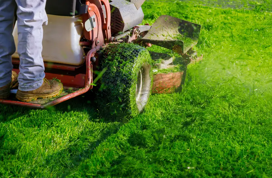Excellent Lawn Mowing Service Oakland, CA