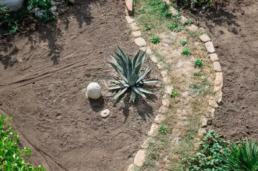 How Landscape Installation Enhances Property Functionality Oakland, CA