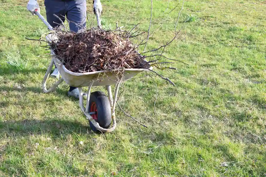 How Yard Cleanup Improves The Health Of Your Landscape Oakland, CA