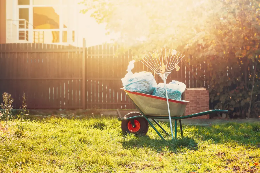 How Yard Cleanup Improves The Health Of Your Landscape in Oakland, CA