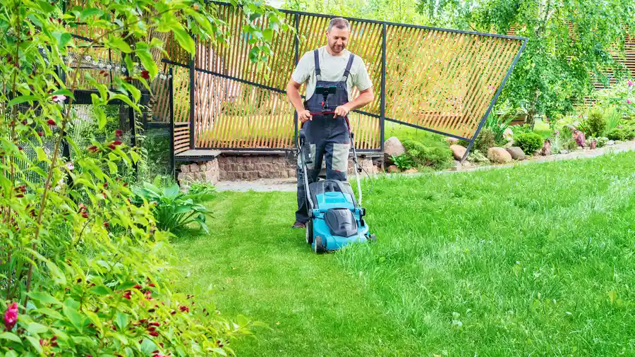 Professional Lawn Mowing Service Oakland, CA