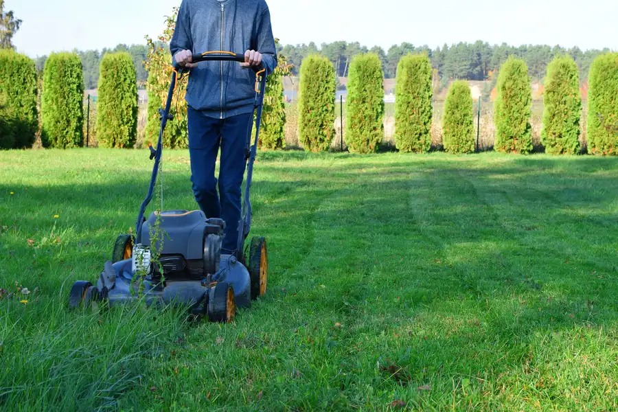 The Environmental Impact Of Regular Lawn Mowing Services Oakland, CA