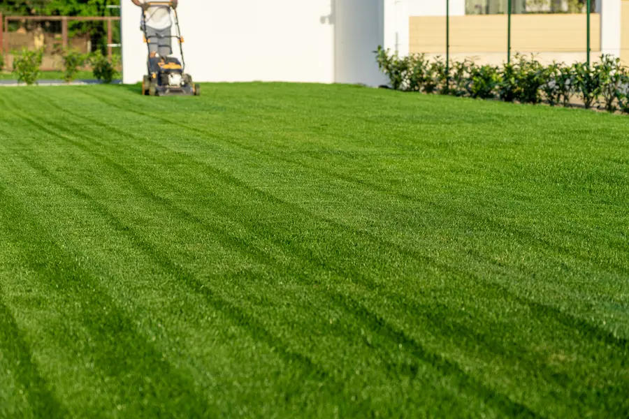 The Environmental Impact Of Regular Lawn Mowing Services in Oakland, CA