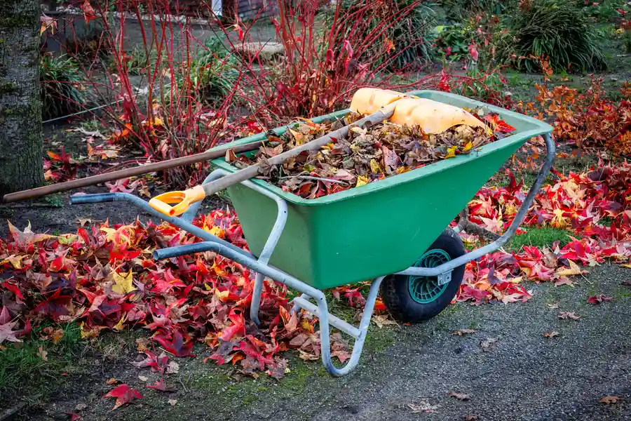 Tips For Preparing Your Yard For Seasonal Cleanup Oakland, CA
