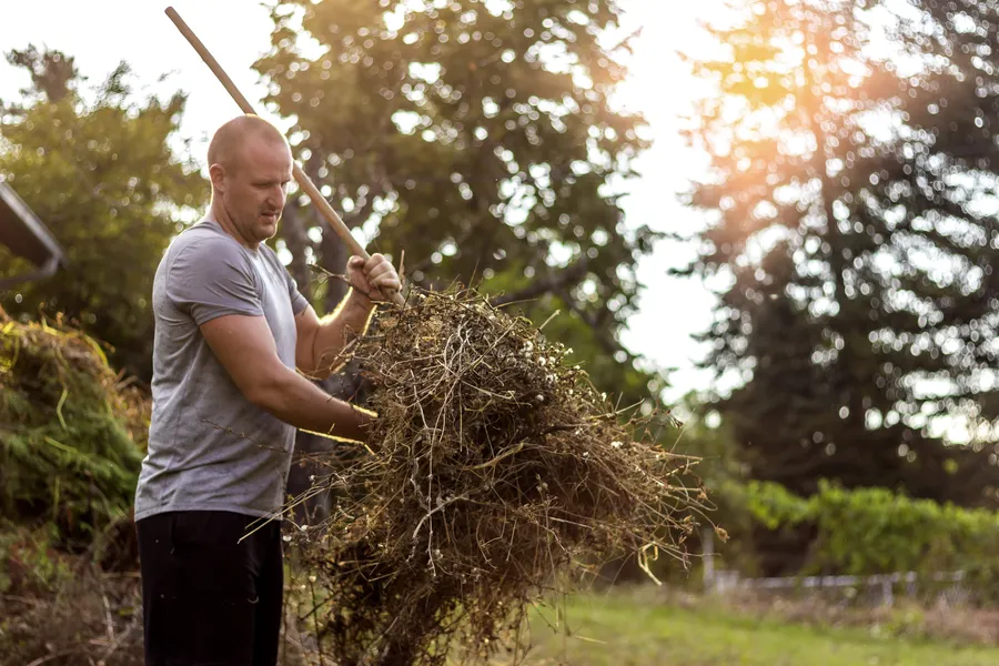 Tips For Preparing Your Yard For Seasonal Cleanup in Oakland, CA