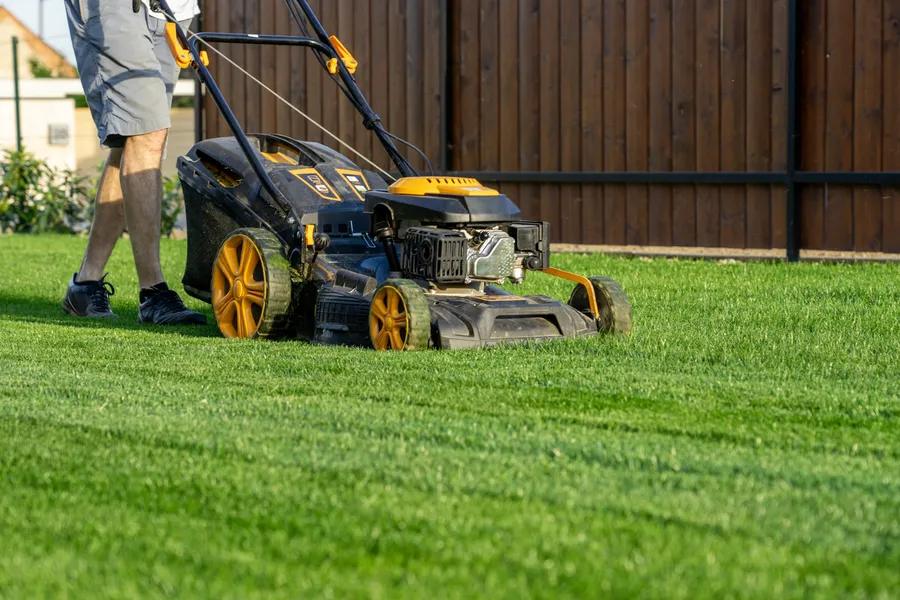 Why Lawn Mowing Service Is Essential For Healthy Grass Growth Oakland, CA