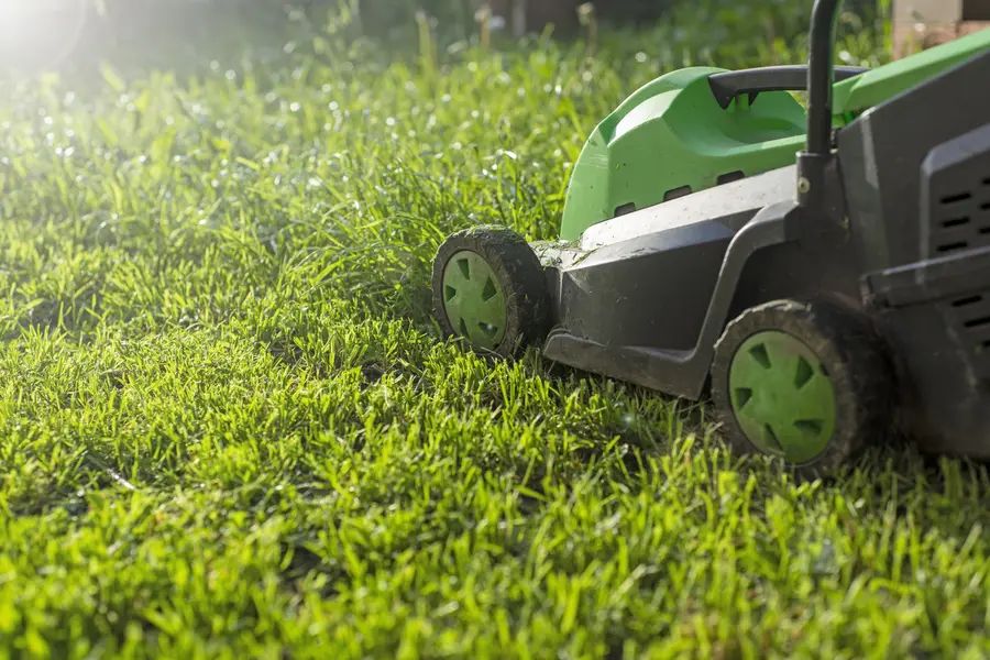 Why Lawn Mowing Service Is Essential For Healthy Grass Growth in Oakland, CA